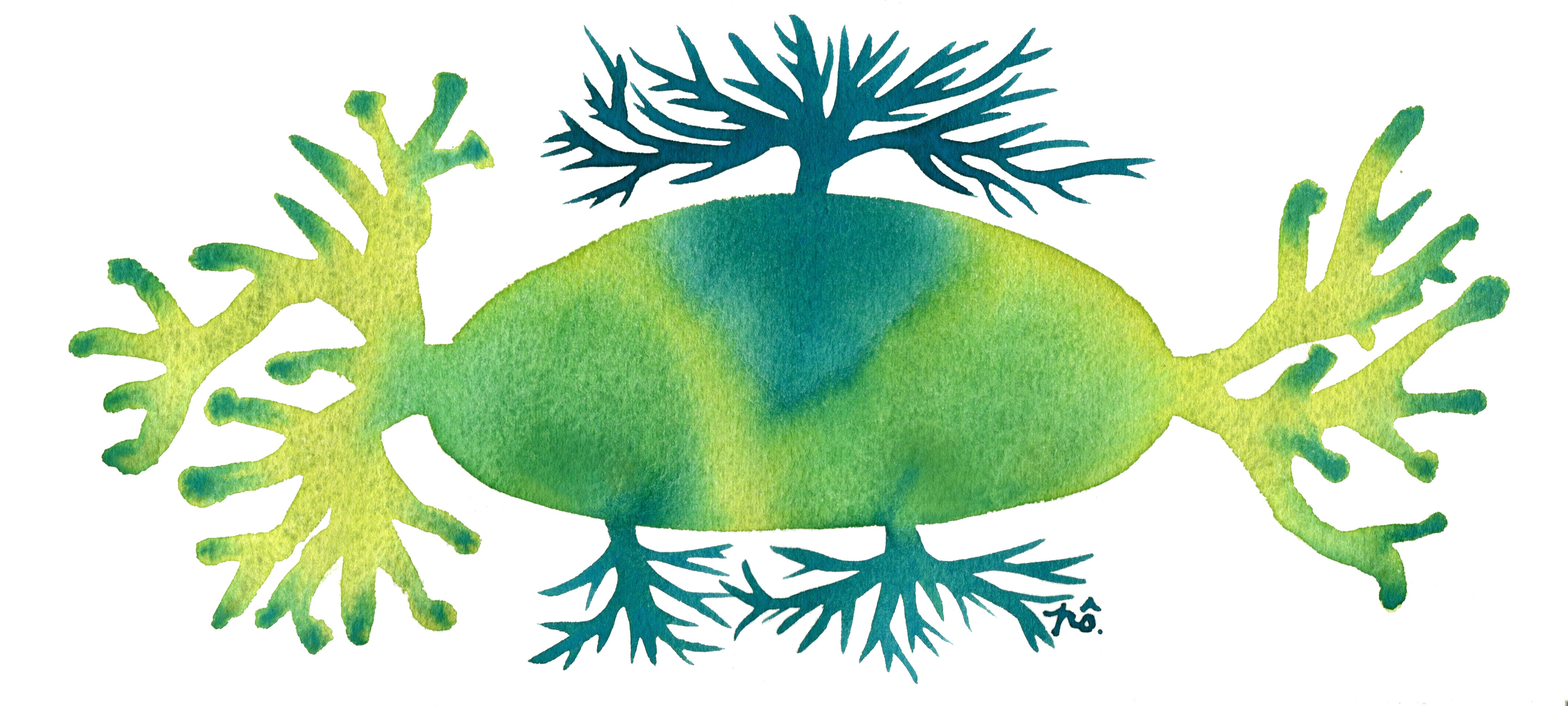 île algue bleu-vert