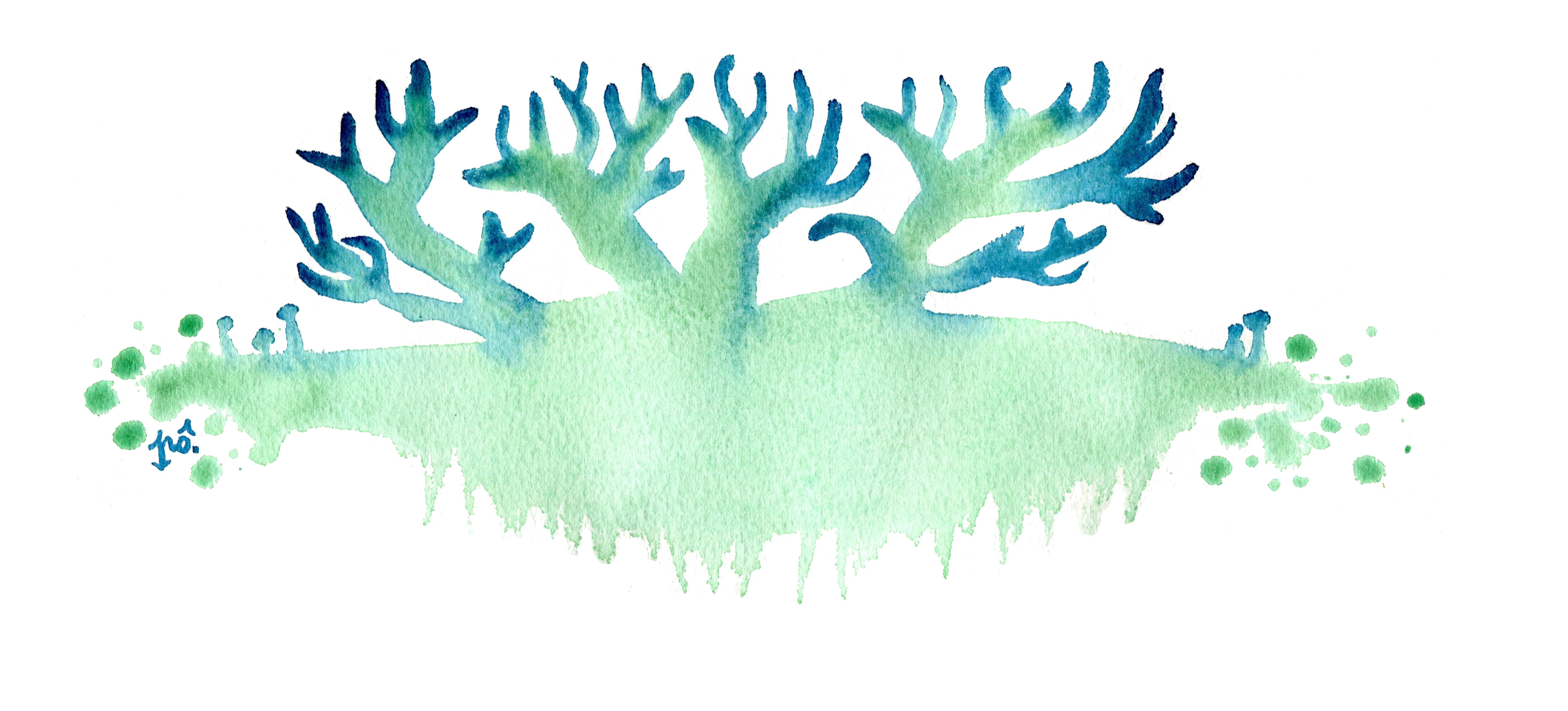 i%cc%82le-algue-verre-do%cc%82-net