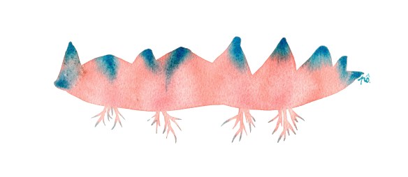 île rose boutsbleus net