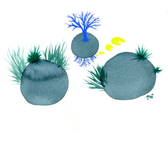 i%cc%82les-rochers-ronds-net