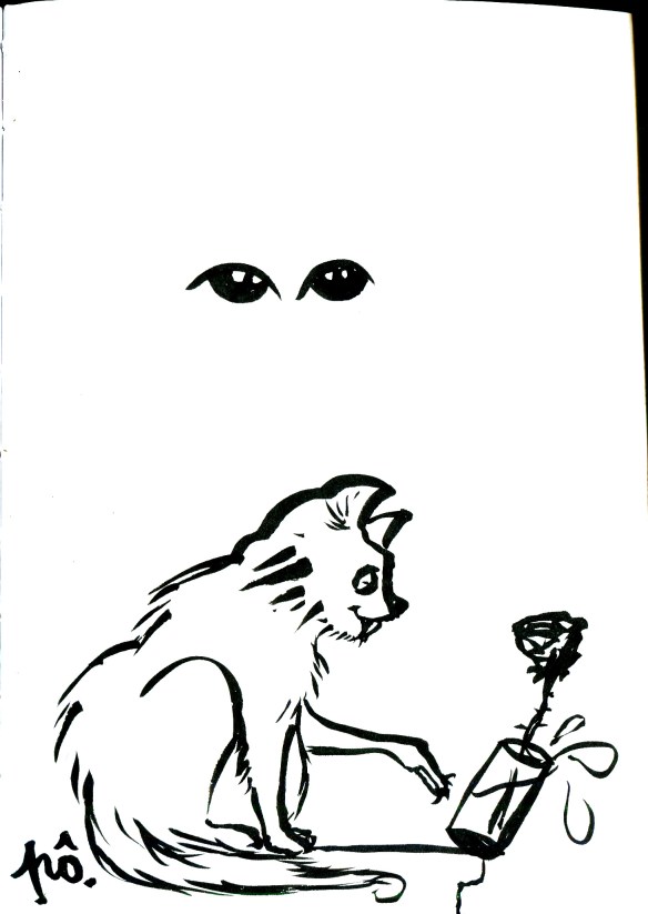 2équilibre précaire chat